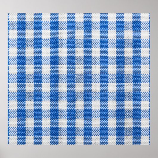 Blauw-wit gevoerde eetkleren. poster (Voorkant)