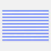 Blauw Wit Matching Patterns Gingham Stippen Gestre Inpakpapier Vel (Voorkant 2)