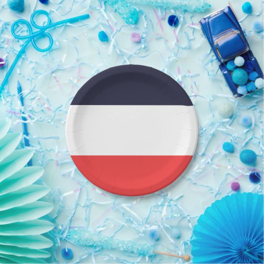 Blauw Wit & Rode Strepen Gestreepte Feest Papieren Bordje (Feest)