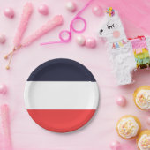 Blauw Wit & Rode Strepen Gestreepte Feest Papieren Bordje (Feest)