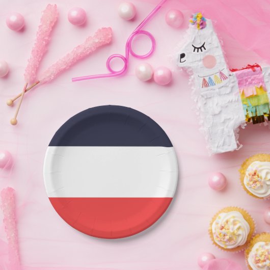 Blauw Wit & Rode Strepen Gestreepte Feest Papieren Bordje (Feest)