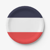 Blauw Wit & Rode Strepen Gestreepte Feest Papieren Bordje (Voorkant)