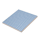 Blauw Wit Ruitpatroon Tegeltje (Zijkant)