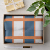 Blauw Wit Sinaasappel Geruite Pleinen Verjaardag Tissuepapier (Geschenk)