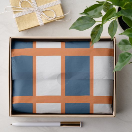 Blauw Wit Sinaasappel Geruite Pleinen Verjaardag Tissuepapier (Geschenk)