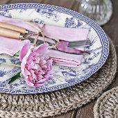 Blauw-wit Toile de Jouy Vrijgezellenfeest Papieren Bordje