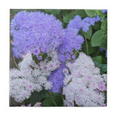 Blauw-witte Ageratum Bloemen Bloemen Tegeltje (Voorkant)