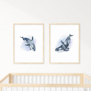 Blauw Witte Aquarel Orka Zwaardwalvis Poster