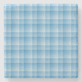 Blauw Witte Geruite Abstracte Patroon Stenen Onderzetter