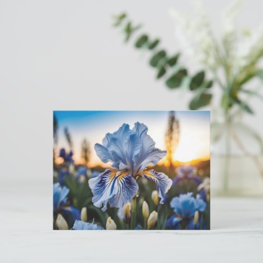 Blauw-witte iris tijdens het gouden uur briefkaart (Staand voorkant)