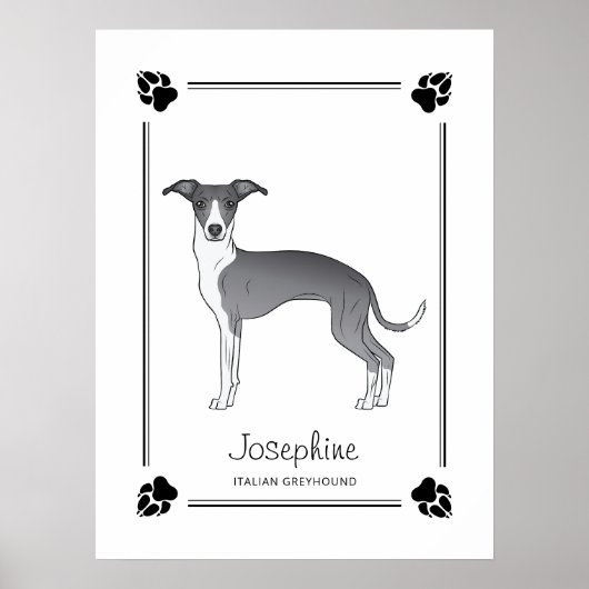 Blauw-Witte Italiaanse Greyhound Met Pootjes & Tek Poster (Voorkant)