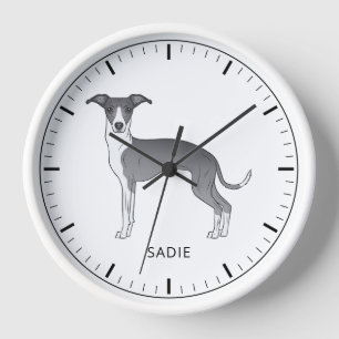Blauw-Witte Italiaanse Windhond Met Aangepaste Tek