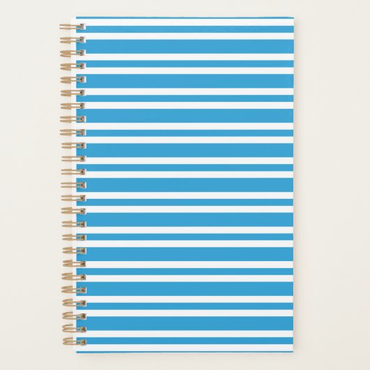 Blauw Witte Strepen Patroon Planner (Voorkant)