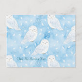 Blauw Witte Uilen Briefkaart (Voorkant)