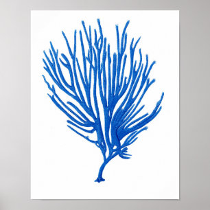 Blauw Zee koraal afdrukken #12 Kustwand Art afdruk Poster