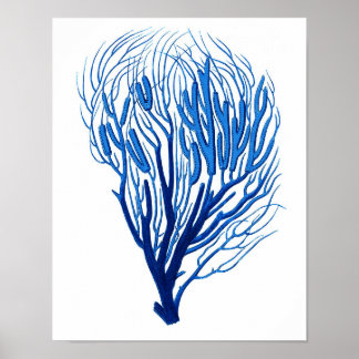 Blauw Zee koraal afdrukken # 7-tapedrive Poster