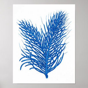 "Blauw zee koraal afdrukken # 8 Home decor poster