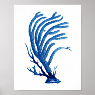 Blauw Zee koraal print #2 Kustmuur art decor