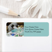 Blauw Zeeglas Adresetiketten Strand Kustfossielen Etiket (Insitu)