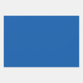 Blauw, zeemacht en witte speldenstaart inpakpapier vel (Voorkant 3)