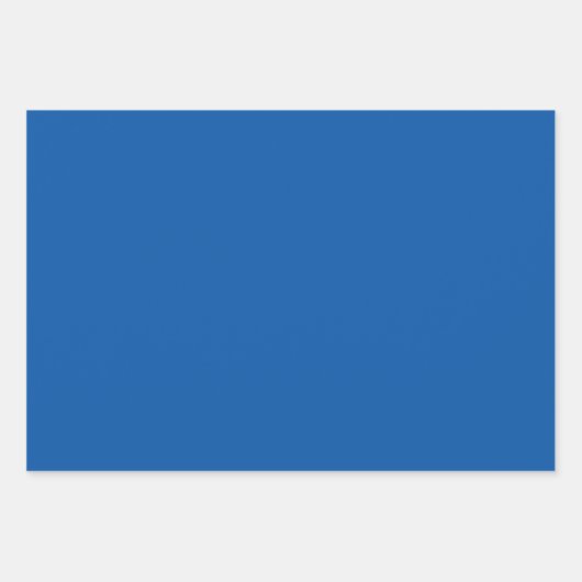 Blauw, zeemacht en witte speldenstaart inpakpapier vel (Voorkant 3)