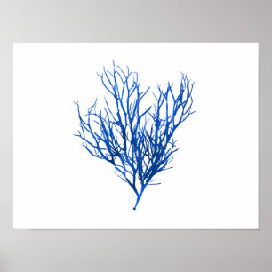 Blauw zeewier #10 42x32 cm poster