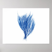 Blauw zeewier #2 formaat 42x32cm poster (Voorkant)
