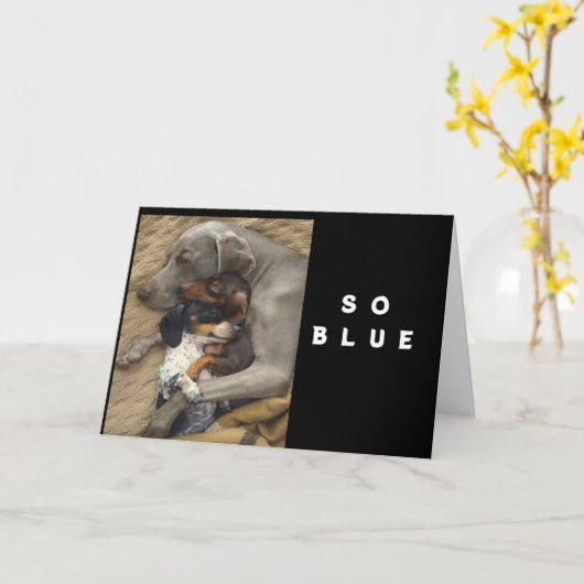 **BLAUW** ZONDER **U* KAART (Gele Bloem)