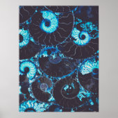 Blauw zwarte Nautilus shell patroon, bang meetkund Poster (Voorkant)