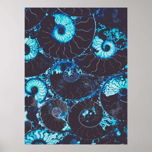 Blauw zwarte Nautilus shell patroon, bang meetkund Poster (Voorkant)