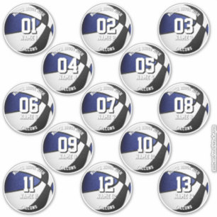 blauw zwarte teamkleuren 13 basketbalspelers namen sticker