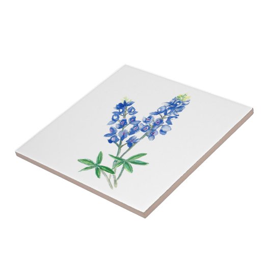 Blauwbeen 3 tegeltje (Zijkant)