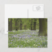 Blauwbellen en eikenbomen in de lente, kleine hagl briefkaart (Voorkant / Achterkant)