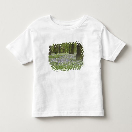 Blauwbellen en eikenbomen in de lente, kleine hagl kinder shirts (Voorkant)