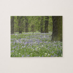 Blauwbellen en eikenbomen in de lente, kleine hagl legpuzzel