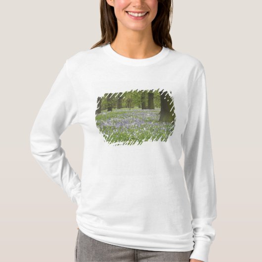 Blauwbellen en eikenbomen in de lente, kleine hagl t-shirt (Voorkant)