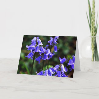 Blauwbellen gefractaliseerd kaart