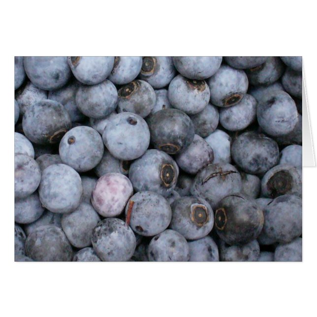 Blauwbes (Voorkant Horizontaal)