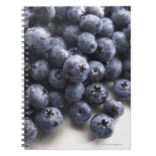 Blauwbes 2 notitieboek