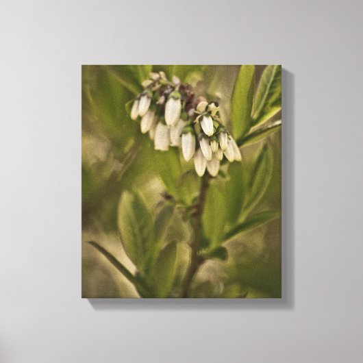 Blauwbes 585 canvas afdruk (Voorkant)