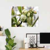 Blauwbes bloesems poster (Thuiskantoor)