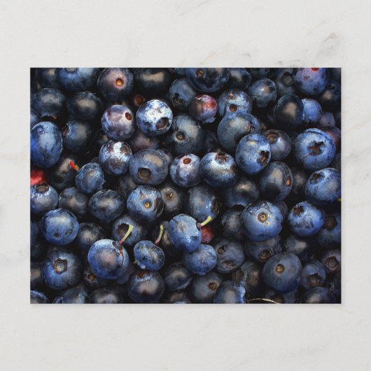 Blauwbes Briefkaart (Voorkant)