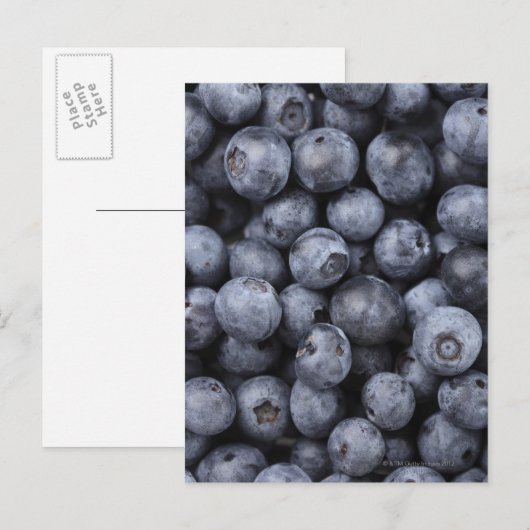 Blauwbes Briefkaart (Voorkant / Achterkant)