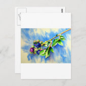 Blauwbes Briefkaart (Voorkant / Achterkant)