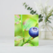 Blauwbes Briefkaart (Staand voorkant)