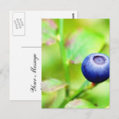 Blauwbes Briefkaart (Voorkant / Achterkant)