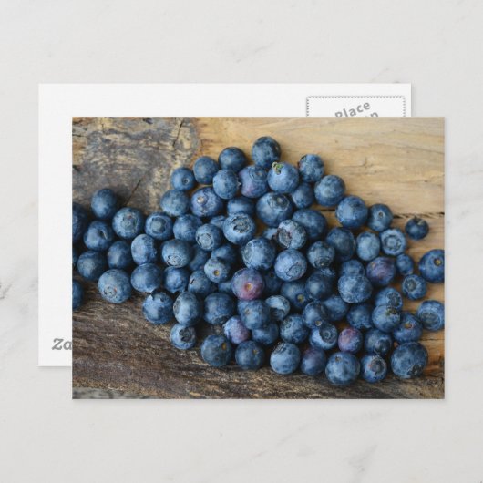 Blauwbes Briefkaart (Voorkant / Achterkant)