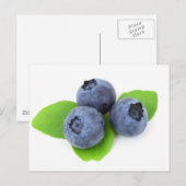 Blauwbes Briefkaart (Voorkant / Achterkant)