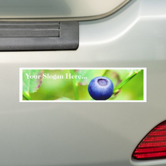 Blauwbes Bumpersticker (Op auto)