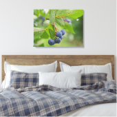 Blauwbes Canvas Afdruk (Insitu (Slaapkamer))